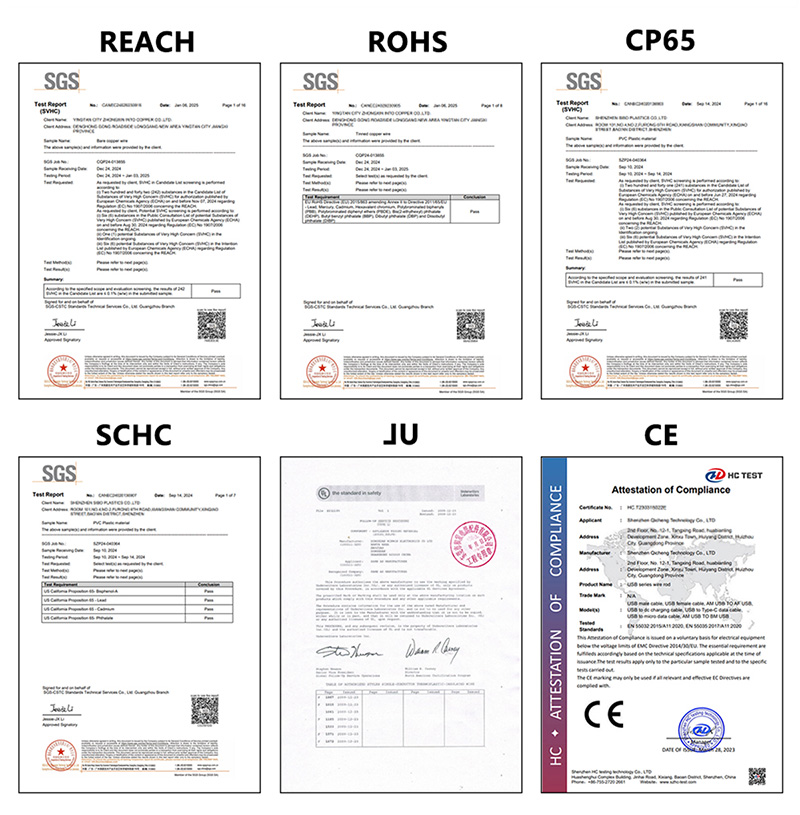 BMW male to female line10